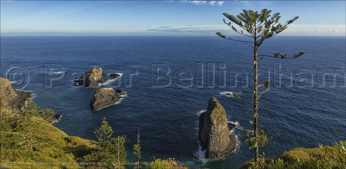 Peter Bellingham Photography Cathedral Rock - Norfolk Island - NSW T (PBH4 00 12353)